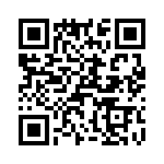 T38560-05-0 QRCode