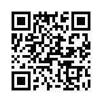 T38560-08-0 QRCode