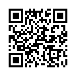 T38560-09-0 QRCode