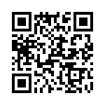 T38560-12-0 QRCode