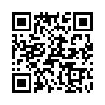 T38560-13-0 QRCode