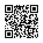 T38561-13-0 QRCode