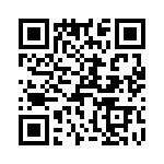 T38561-22-0 QRCode