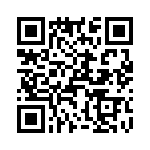 T38562-07-0 QRCode