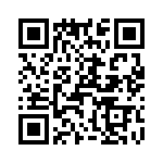 T38562-11-0 QRCode