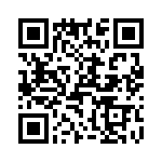 T38562-12-0 QRCode