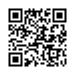 T38562-22-0 QRCode