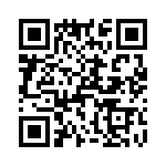 T38563-03-0 QRCode