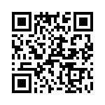 T38563-11-0 QRCode