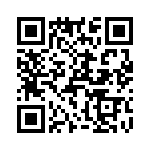 T38563-12-0 QRCode