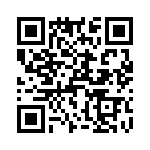 T38563-24-0 QRCode