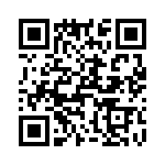 T38565-03-0 QRCode