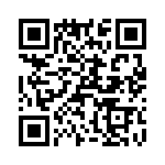 T38567-24-0 QRCode