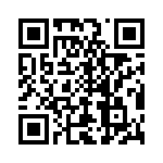 T40424500000G QRCode