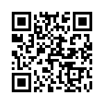 T41124500000G QRCode