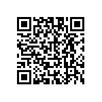 T4112512041-000 QRCode