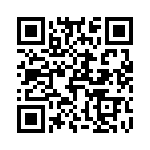 T41324500000G QRCode