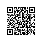 T540D337M004DH87057280 QRCode