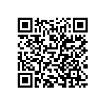 T540D687K2R5CH87057280 QRCode