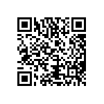 T540D687K2R5CH87057610 QRCode