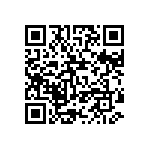 T540D687M2R5CH87057280 QRCode