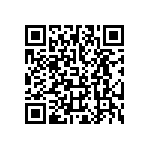 T55B336M010C0200 QRCode