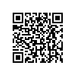 T55B685M016C0200 QRCode