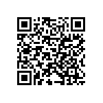 T86E336K025EBAS QRCode