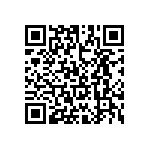 T86E337M004EBSL QRCode