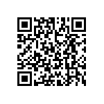 T86E337M004EBSS QRCode