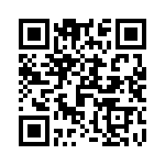 T90N5D12-12-12 QRCode