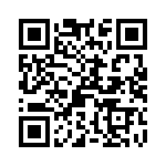 T92P11D22-24 QRCode