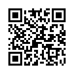 T92P11D24-12 QRCode