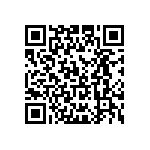 T95Y106M020HSAL QRCode