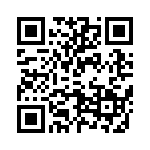 T9G0061003DH QRCode