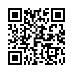 T9G0161203DH QRCode