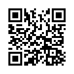 TDZTR13 QRCode