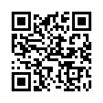 TGP-P22-13-C QRCode