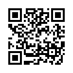TH0741510000G QRCode