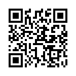 TJSE22521 QRCode