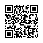 TL32P000000 QRCode