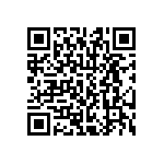 TNPW12063K24BEEN QRCode