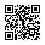 TS613IDT QRCode
