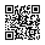 TT23P3T QRCode