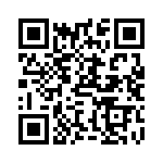 TYS6028101M-10 QRCode