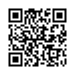 U13P1YZQE22 QRCode