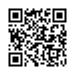 V-21-3C6 QRCode