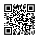 V10P300P QRCode