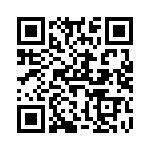 V110A28T300B QRCode