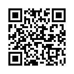 V110B28T150BL QRCode